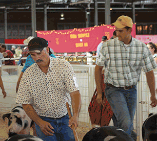 Resler Spots & Durocs