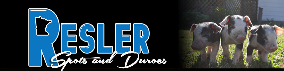 Resler Spots and Durocs / Owatonna, MN